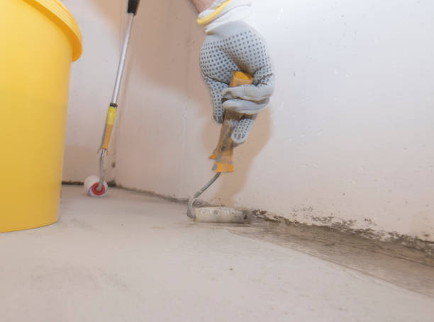 Emergency Pest Control in Fort Valley, AZ